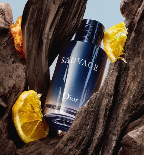 Dior Sauvage Eau De Toilette Men