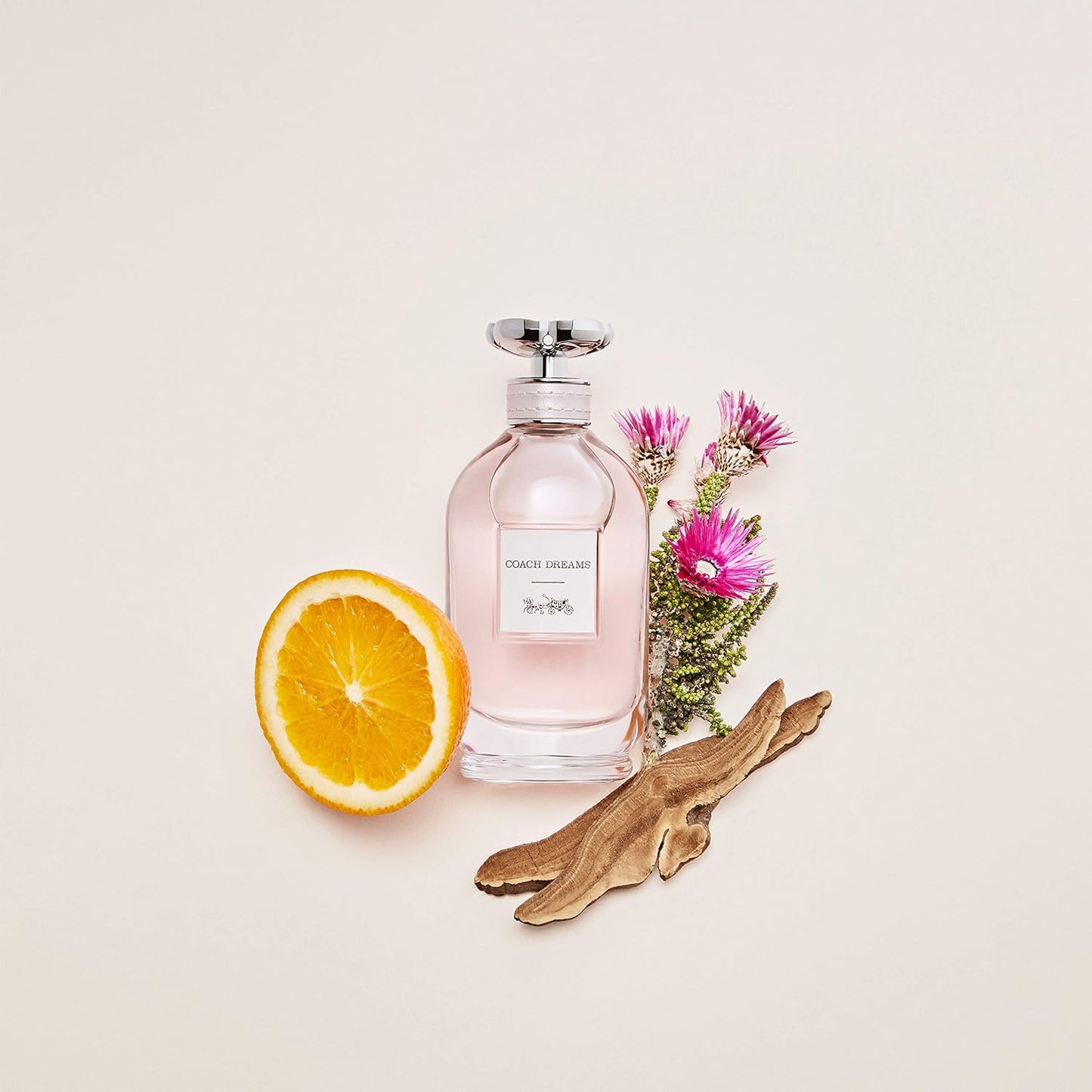 Coach Dreams Women Eau De Parfum